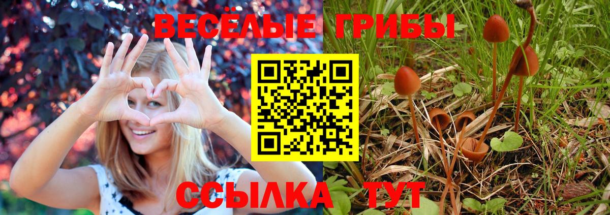 Псилоцибиновые грибы Psilocybine cubensis  Вход с VPN  где купить   Галлюциногенные грибы мицелий  Грязи 